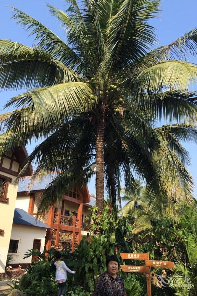 باوتينغ Hainan Bulongsai Resort Hotel المظهر الخارجي الصورة